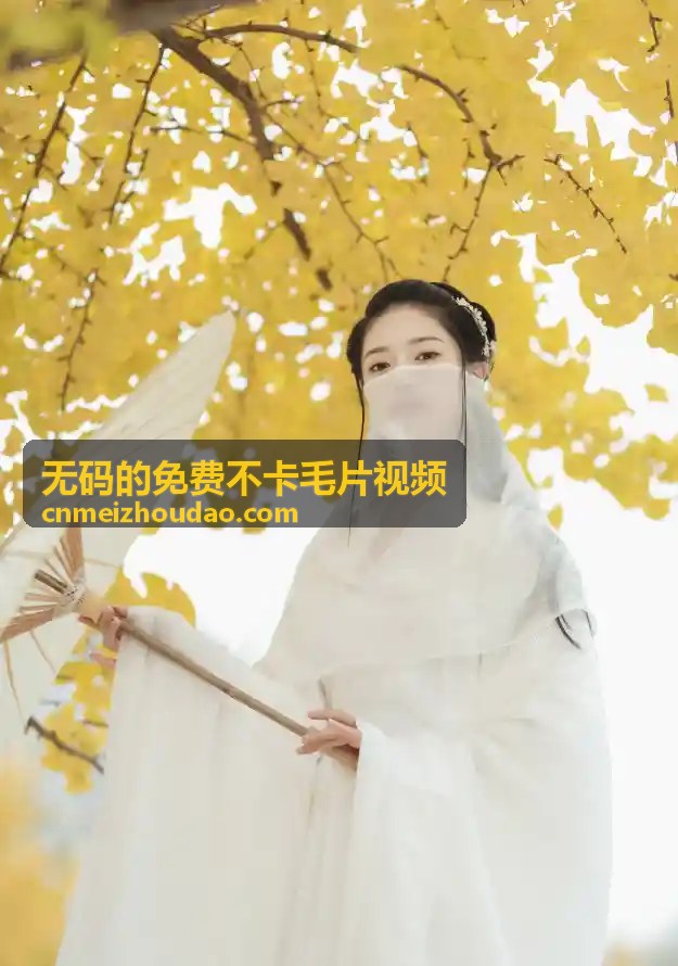 高清在线无码免费毛片视频